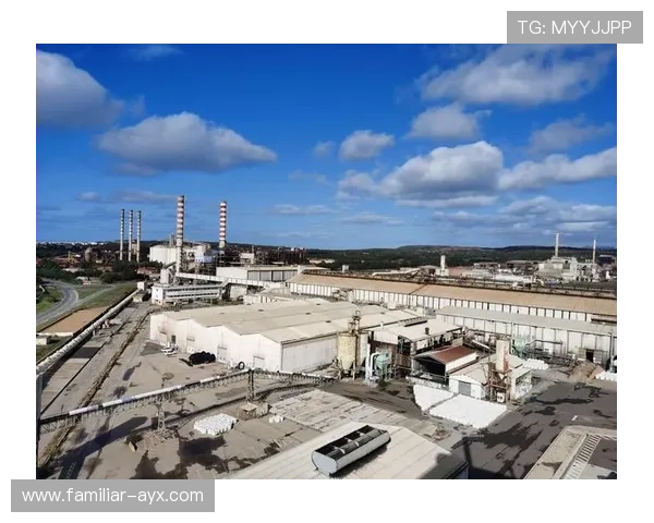 斯托克城俱乐部的辉煌历程与未来展望分析